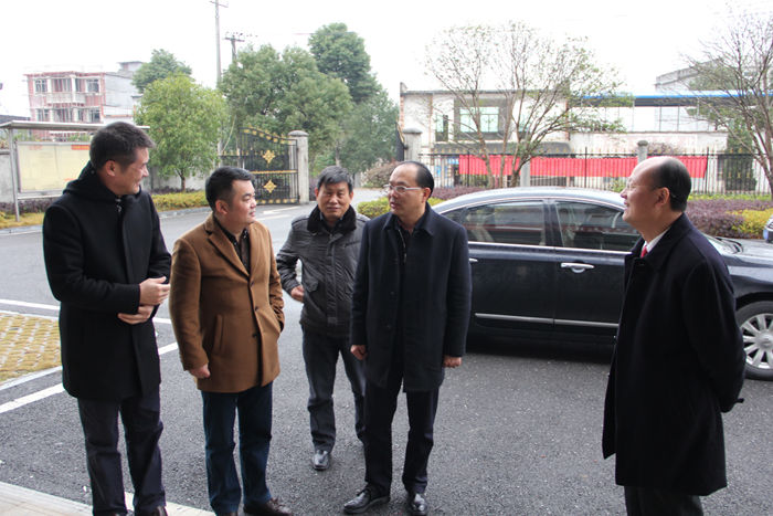 中院院长来白霓、路口法庭调研1.JPG